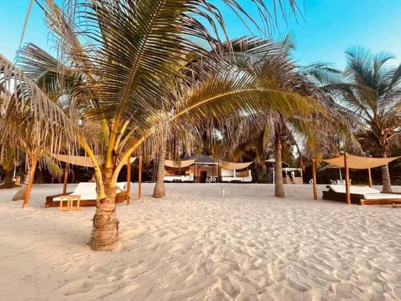 WhatsApp Image 2025 12 12 at 02.33.08