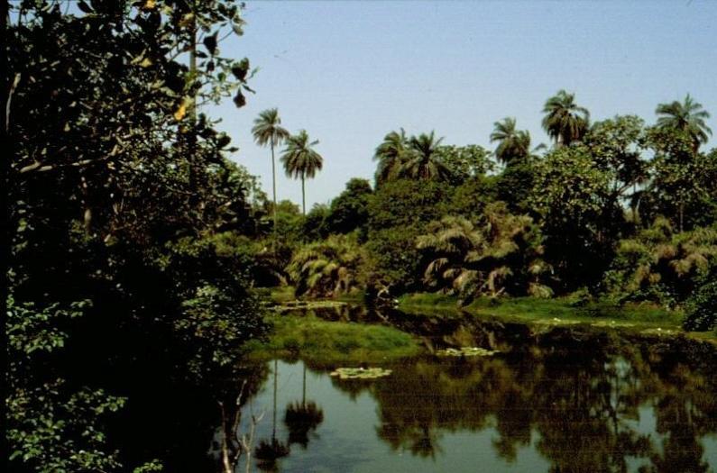 abuko nature reserve