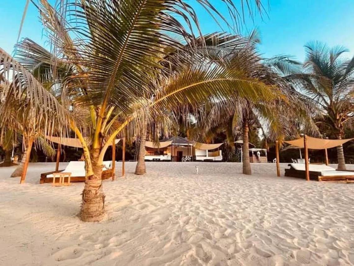 WhatsApp Image 2025 12 12 at 02.33.08