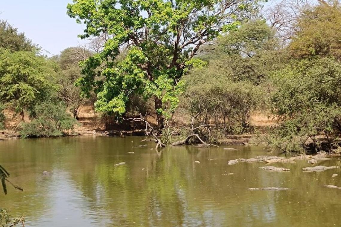 lagoon