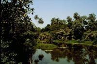 abuko nature reserve