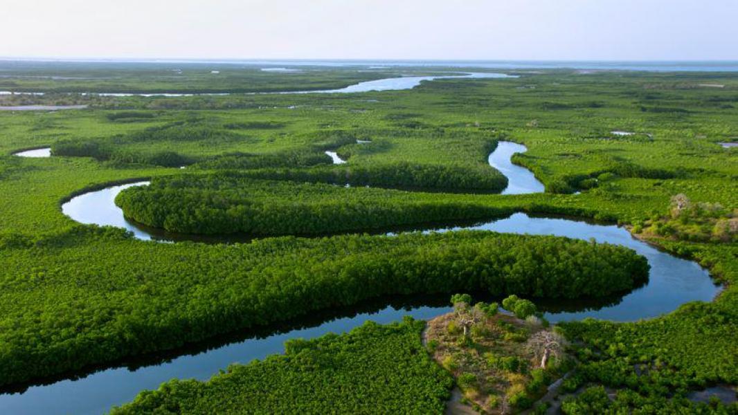 The Saloum Delta | Travel Eco - Inspiring Destinations